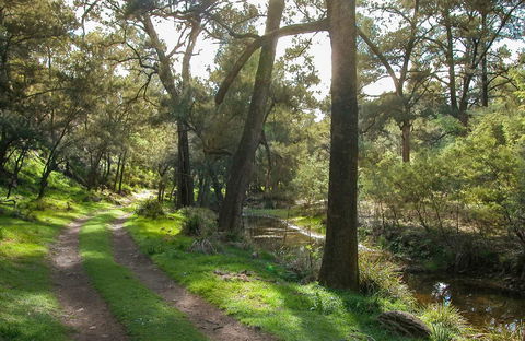 Turon National Park - Goulburn Accommodation 0