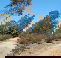 Werakata National Park - Goulburn Accommodation