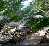 Wirrawilla Rainforest Walk - Goulburn Accommodation