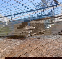 Aboriginal Carvings - Goulburn Accommodation