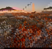 Cape Willoughby Heritage Trail - Goulburn Accommodation