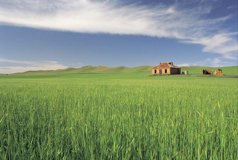 Clare Valley - Goulburn Accommodation 1