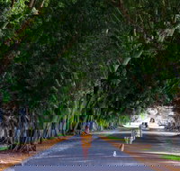 Fig Tree Avenue - Goulburn Accommodation