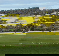 Fini Olives - Goulburn Accommodation