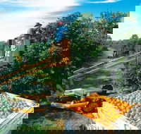 Gayndah's Big Orange - Goulburn Accommodation