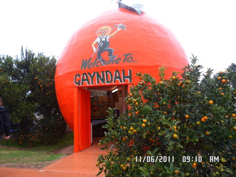 Gayndah's Big Orange - Goulburn Accommodation 2