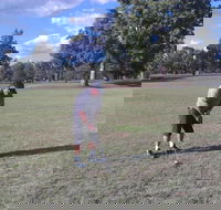 Inverell Golf Club - Goulburn Accommodation