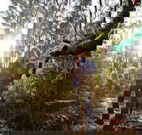 Kinglake National Park - Goulburn Accommodation