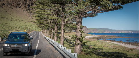 Lady Bay Beach - Goulburn Accommodation 0