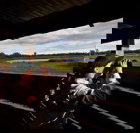 Reed Beds Bird Hide Boardwalk - Goulburn Accommodation