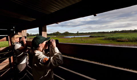 Reed Beds Bird Hide Boardwalk - Goulburn Accommodation 0