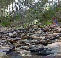 Rocksberg Park Heritage Reserve - Goulburn Accommodation