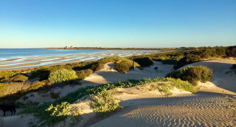 Shelly Beach Dune Walk Trail - Goulburn Accommodation 0