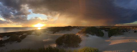 Shelly Beach Dune Walk Trail - Goulburn Accommodation 2