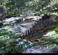 Washpools waterhole - Goulburn Accommodation