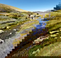 Australian Alps Walking Track - Goulburn Accommodation