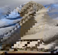 Big Merino - Goulburn Accommodation