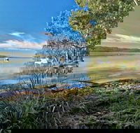Black Oaks Picnic Area - Goulburn Accommodation