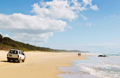 Bongil Bongil National Park - Goulburn Accommodation 0