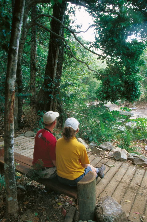 Cedar Creek Falls - Goulburn Accommodation 1