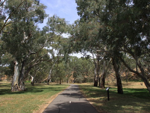 Dead Mans Pass - Goulburn Accommodation 0