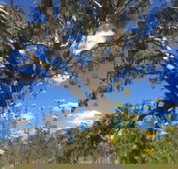 Euroa Arboretum - Goulburn Accommodation