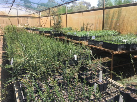 Euroa Arboretum - Goulburn Accommodation 1