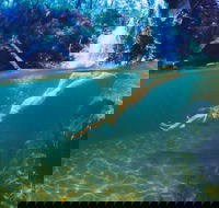 Glenreagh - Goulburn Accommodation