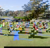 Hello Koalas Sculpture Trail - Goulburn Accommodation