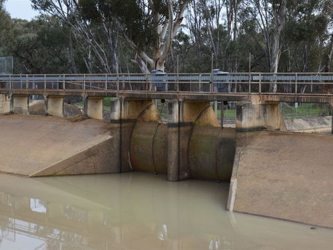 Lawson Syphon - Goulburn Accommodation 0