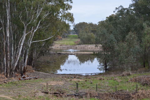 Lawson Syphon - Goulburn Accommodation 1