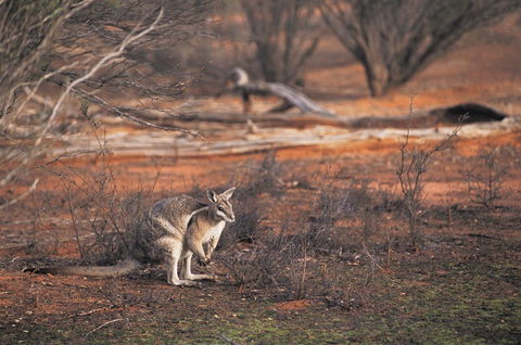 Mildura - Goulburn Accommodation 2