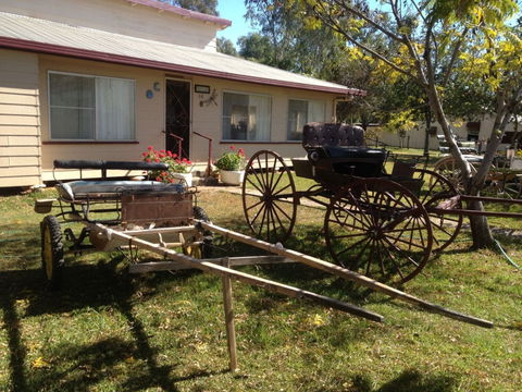 Mr And Mrs Behan Sulky Display - Goulburn Accommodation 0
