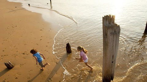 Phillip Island - Goulburn Accommodation 0