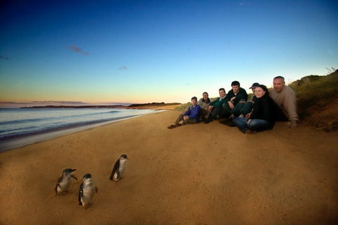 Phillip Island - Goulburn Accommodation 2