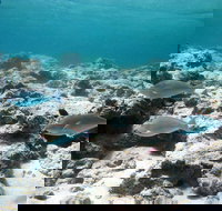 Purdy Point - Goulburn Accommodation