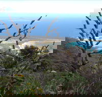 Strzelecki Peaks Great Short Walk - Goulburn Accommodation