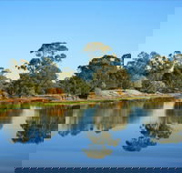 The Gums - Goulburn Accommodation