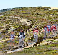 The Sole Walk at Hillocks Drive - Goulburn Accommodation