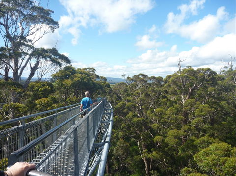 Walpole-Nornalup National Park - Goulburn Accommodation 0