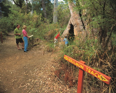 Walpole-Nornalup National Park - Goulburn Accommodation 1