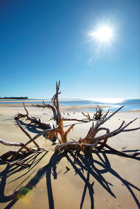 Woodgate Beach Park And Playground - Goulburn Accommodation 1