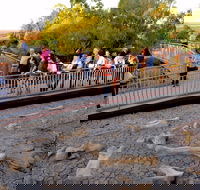 Australian Age of Dinosaurs - Goulburn Accommodation