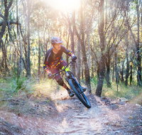 Bayview Conservation Area - Goulburn Accommodation