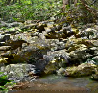 Booyong Walking Track - Goulburn Accommodation