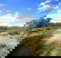 Bullocks walking track - Goulburn Accommodation