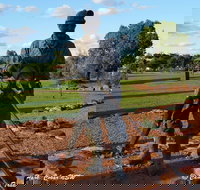 Cobar Miners Heritage Park - Goulburn Accommodation