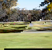 Deniliquin Golf Club - Goulburn Accommodation