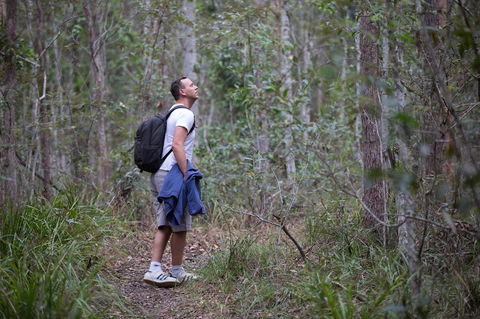 Ironbark Ridge And Spotted Gum Walking Trails - Goulburn Accommodation 2