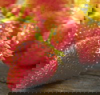 Lambs Valley - Goulburn Accommodation